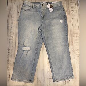 Lane Bryant Light Blue Distressed Jeans